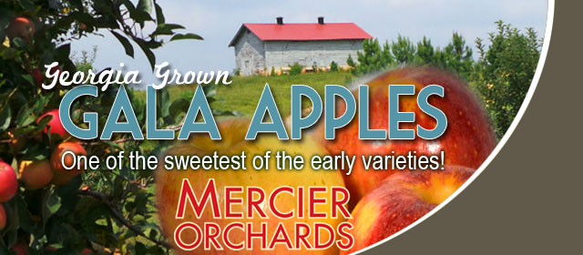 Gala Apples from Mercier Orchards!