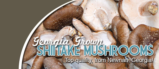 Georgia grown Shiitake mushrooms! - Item #4635