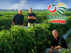 DiMare Tomatoes